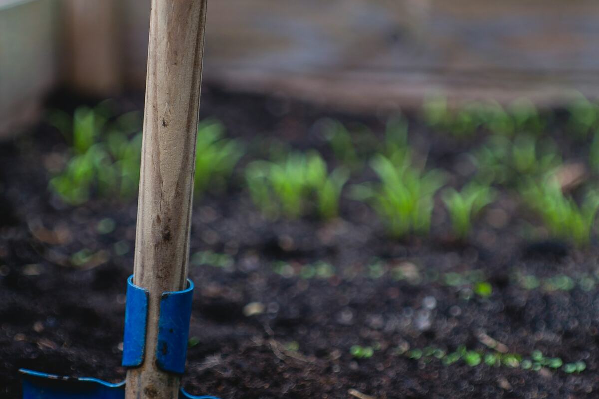 Fletes y acarreos en Jardines del Álamo