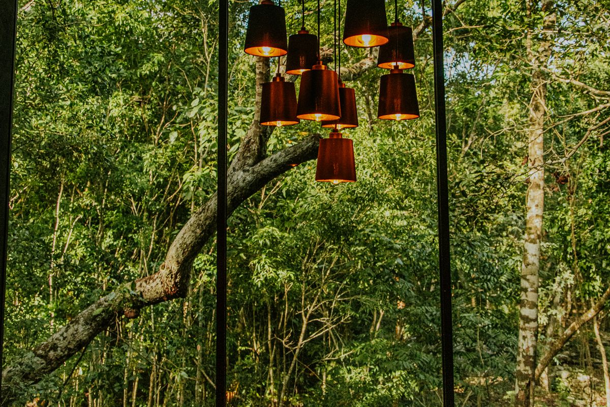Iluminación en Vicente Guerrero