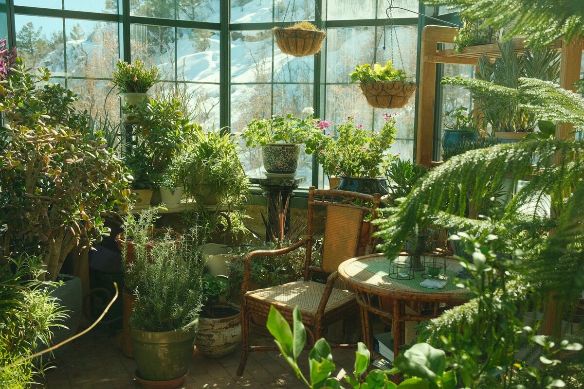 Jardinería en Colinas de Santa Cruz 2a Sección