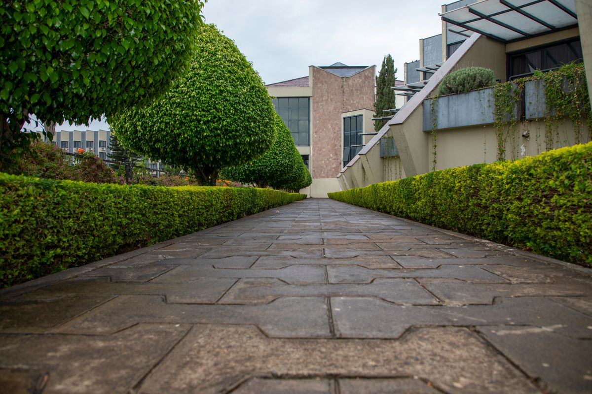 Jardinería en Del Valle