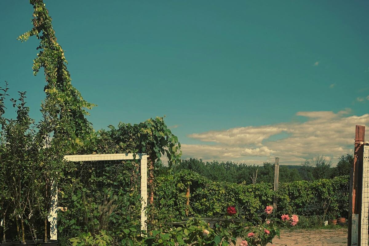 Jardinería en Villas del Mirador