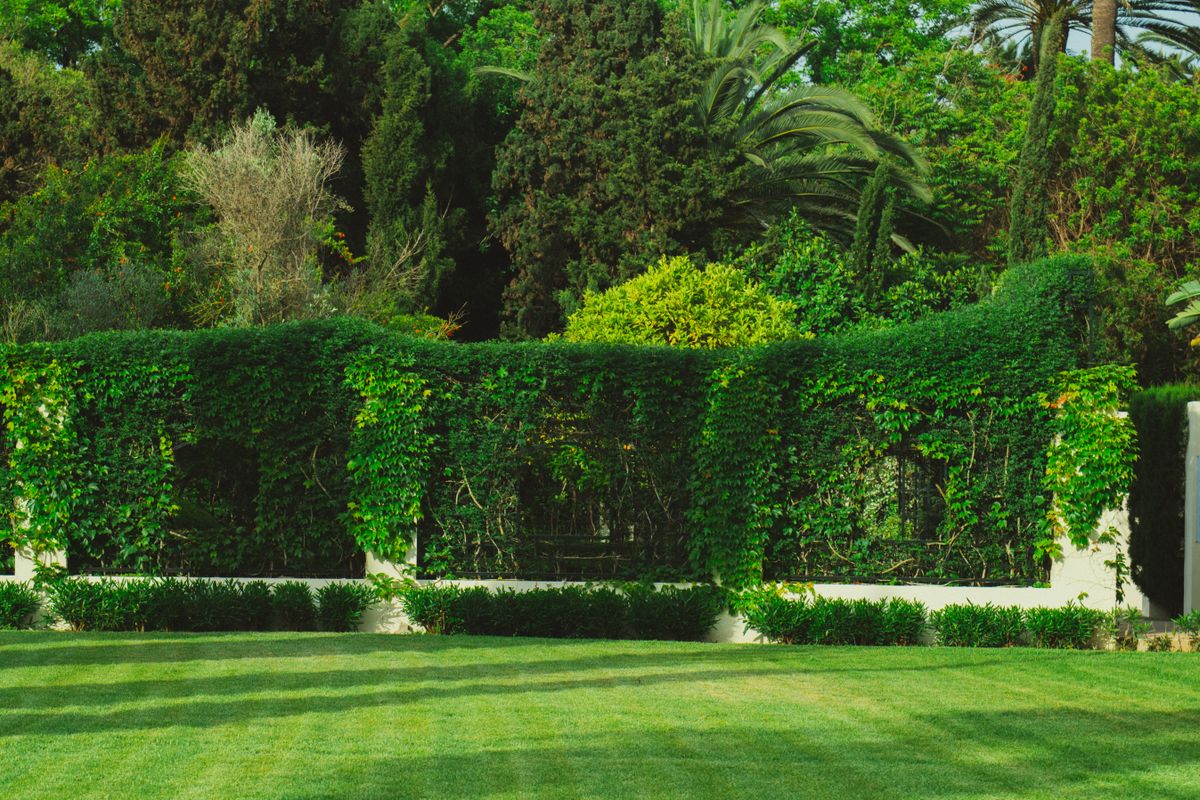 Jardinería en Multunchac