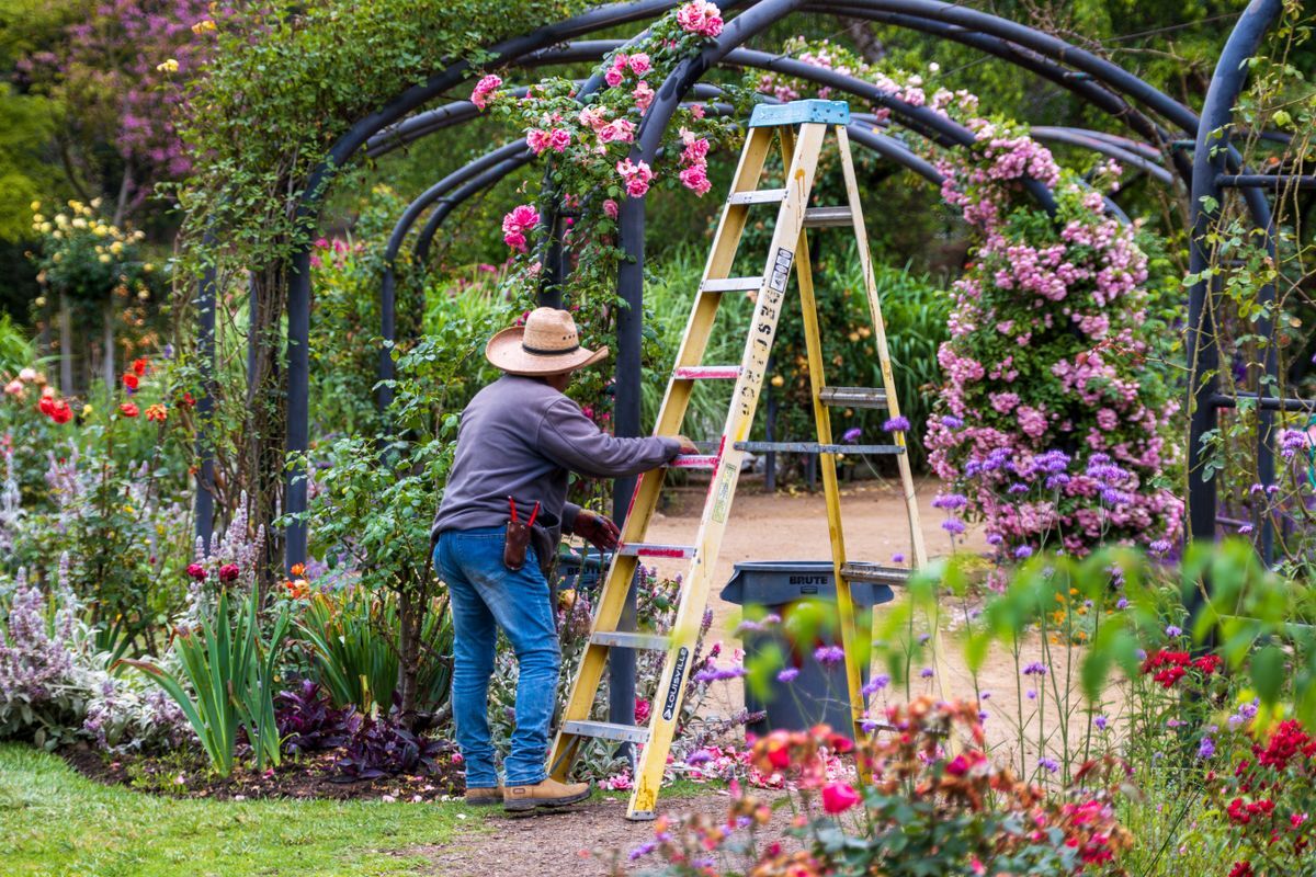 Jardinería en Residencial Santa María