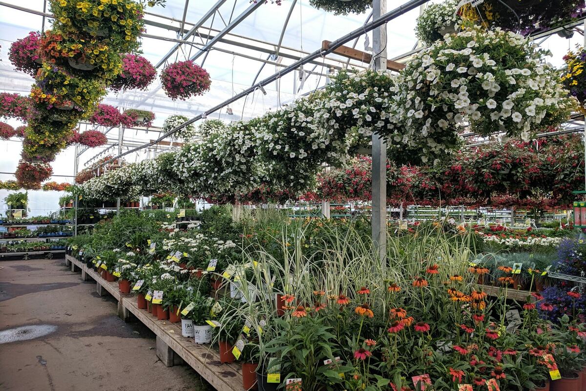 Jardinería en Pedregal de Santo Domingo