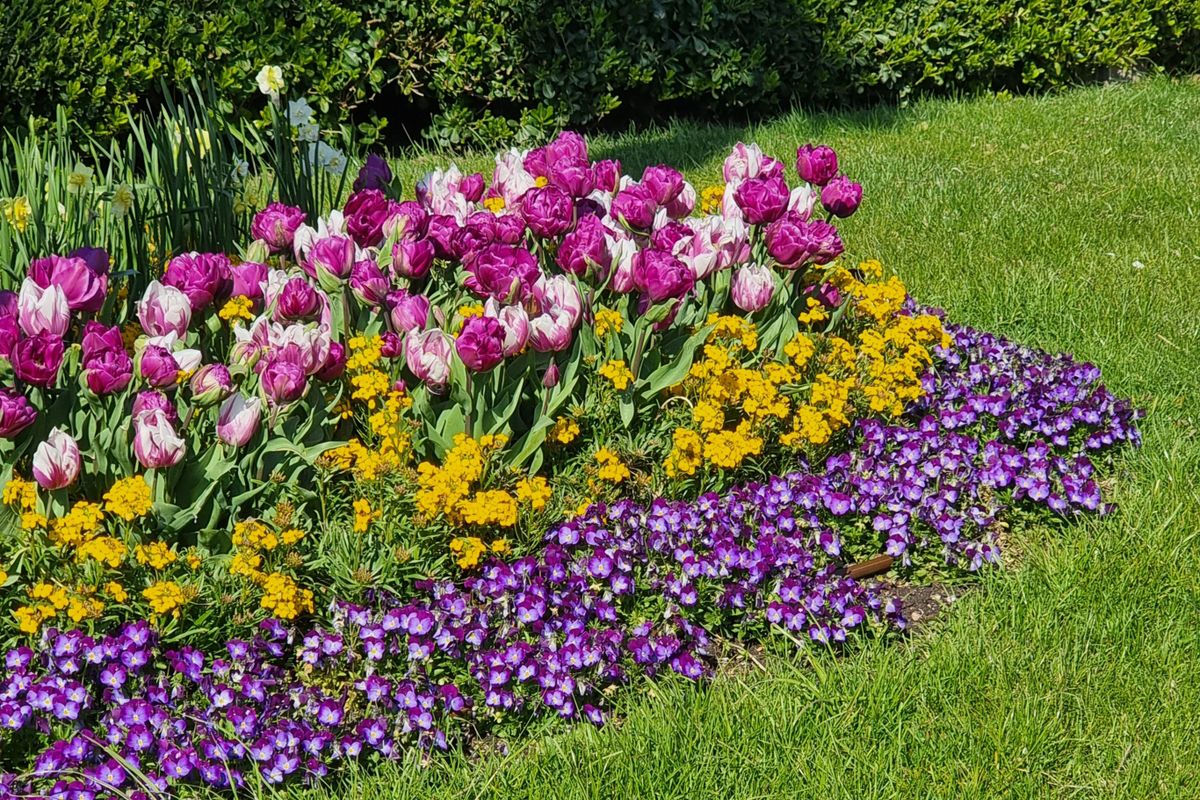Jardinería en Llano de la Lima