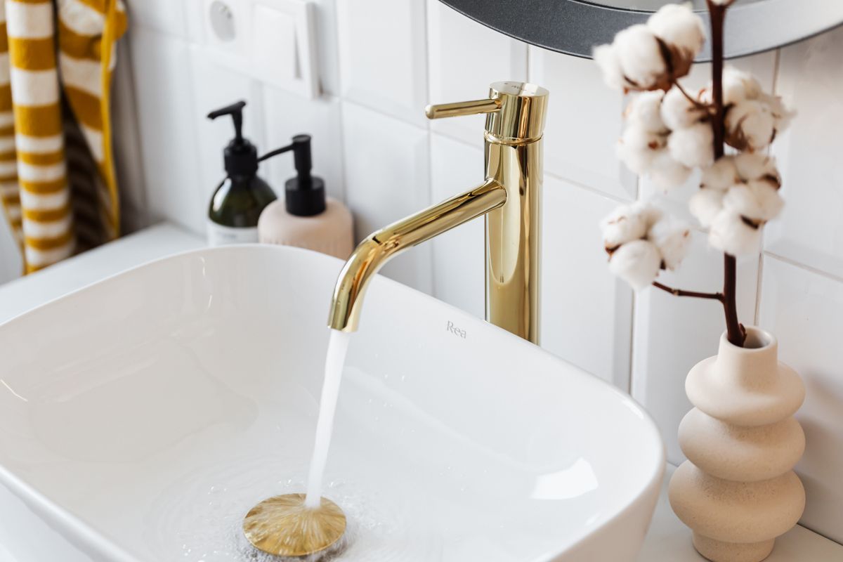 Lavabos y sanitarios en La Mesa
