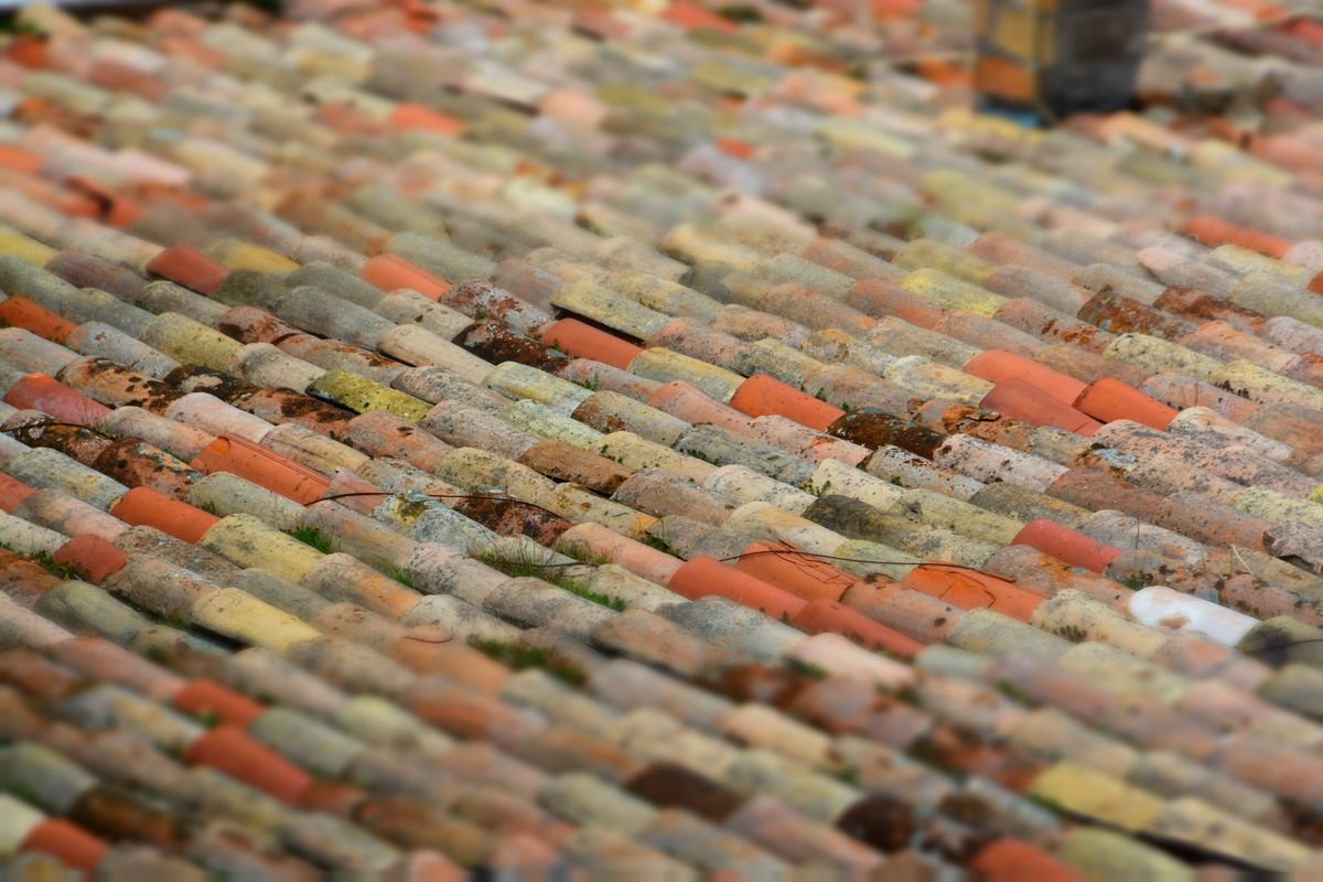 Material de acabados en Forjadores