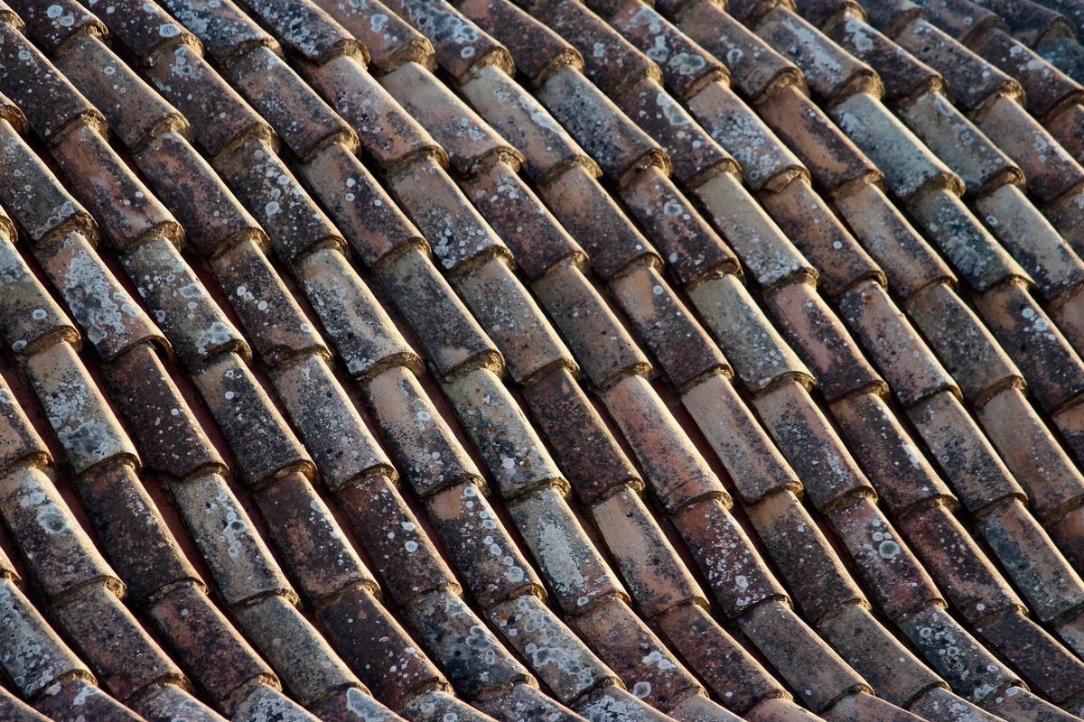 Material de acabados en Tejalpa