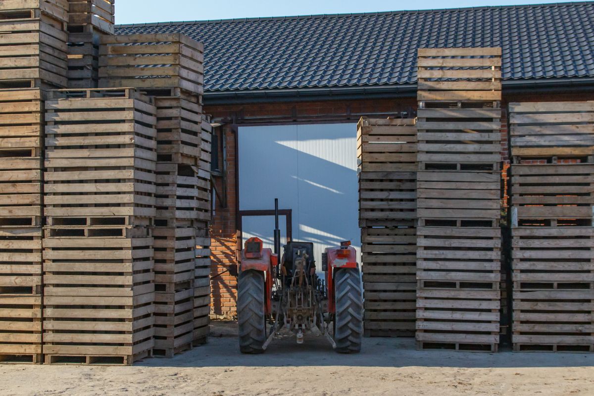 Material para construcción en Plan de Ayala