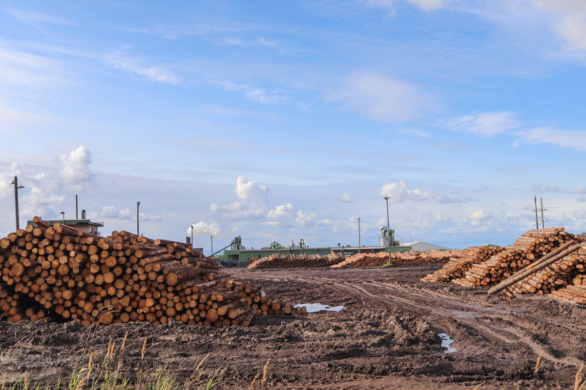 Tubería hidráulica y sanitaria en Tamulte de las Barrancas