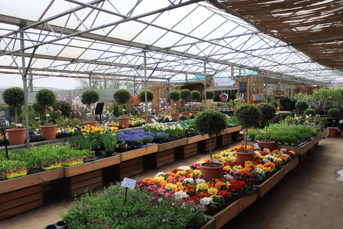Vivero y jardinería en Monte Cristal
