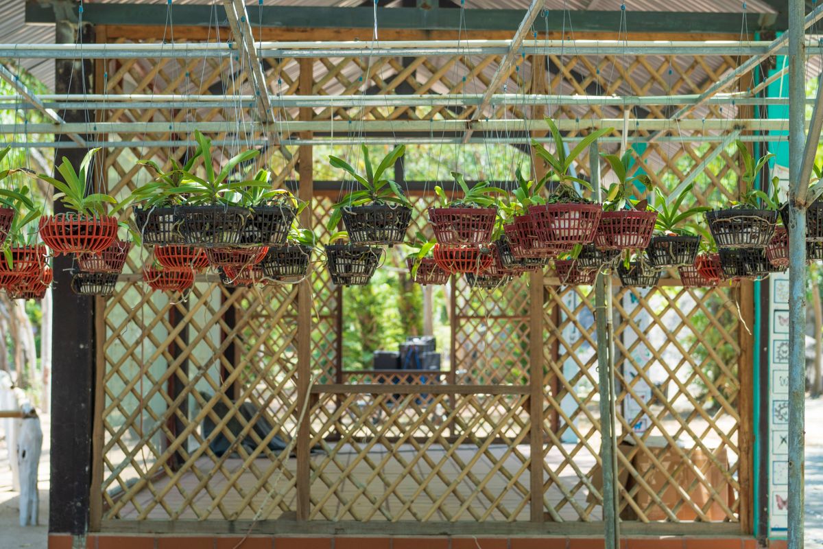 Vivero y jardinería en El Campanario