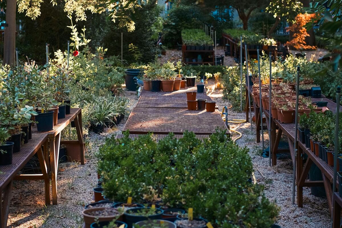 Vivero y jardinería en El Uro