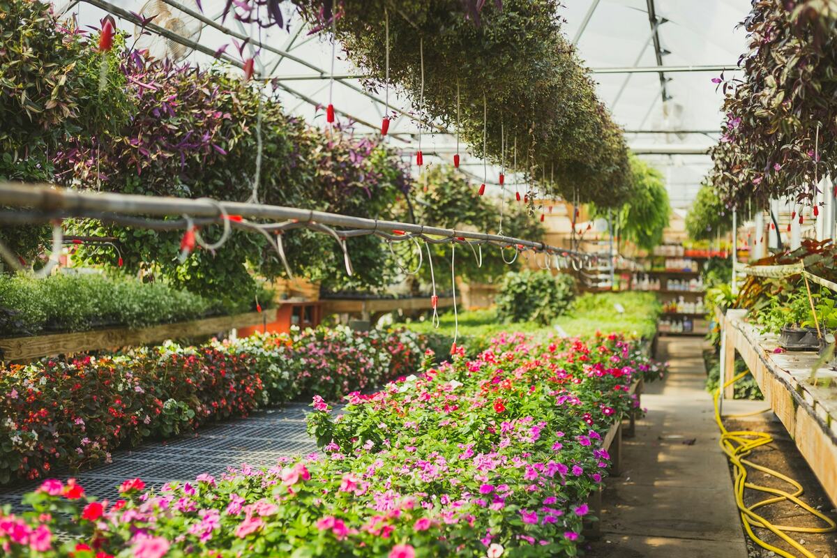 Vivero y jardinería en Juriquilla